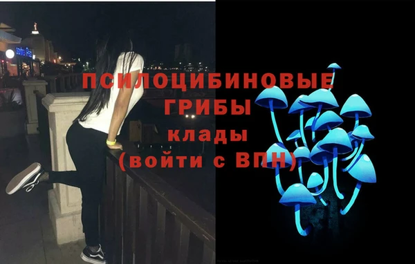 гашиш Касимов