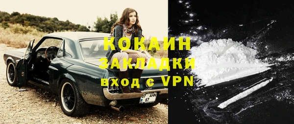 гашиш Касимов