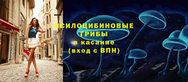 гашиш Касимов