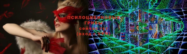 гашиш Касимов