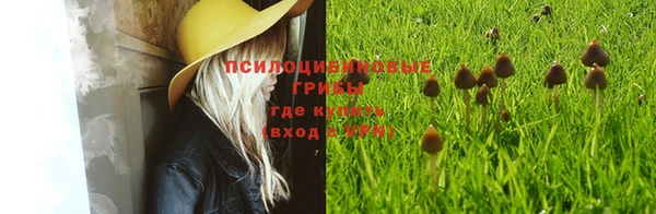 альфа пвп Карпинск