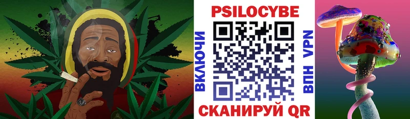 Псилоцибиновые грибы мицелий  Купить где  Сосновый Бор 